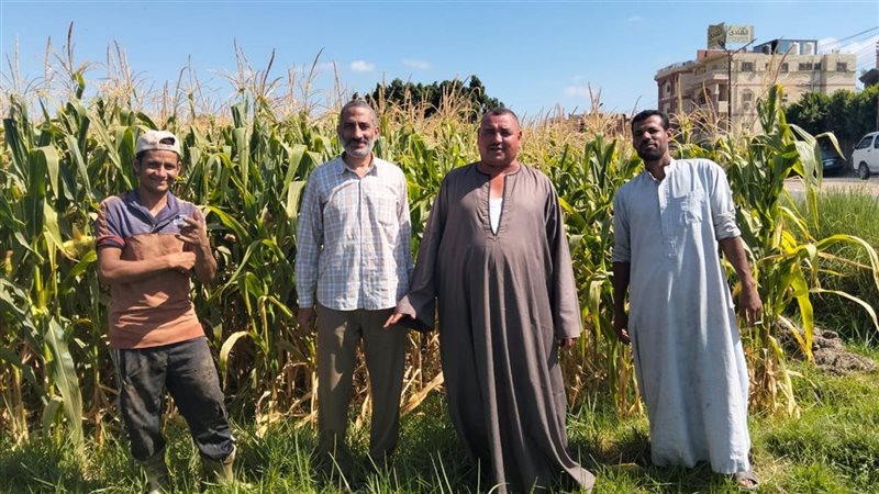 يوم إرشادي، فيتو