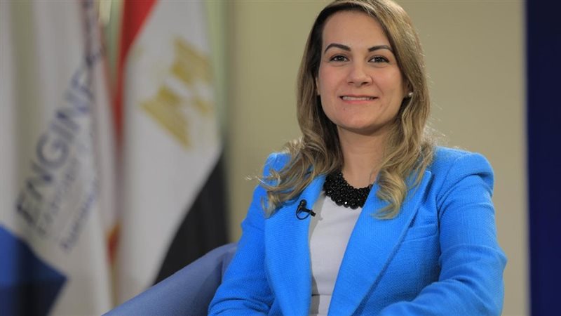  مي حلمي، مدير المجلس