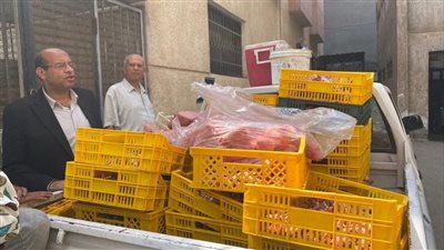 ضبط طن لحوم دواجن غير صالحة للاستهلاك بدمياط