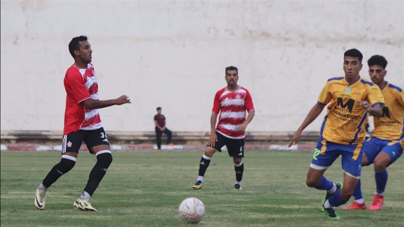 دوري المحترفين