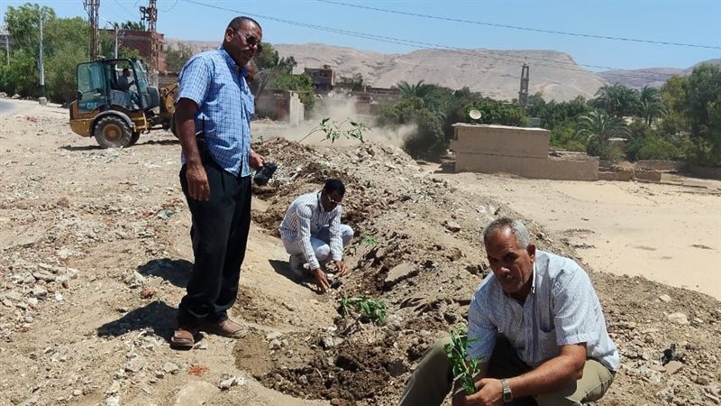 حملة التشجير بأسيوط،فيتو