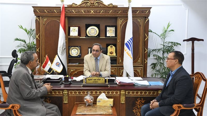 قنا،فيتو
