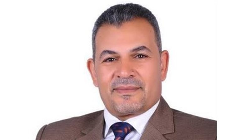 ربيع الملواني، عضو