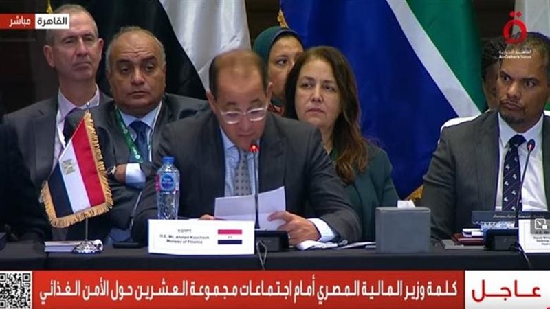 أحمد كجوك وزير المالية،