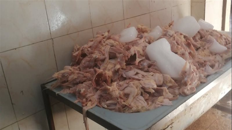 ضبط دواجن مجهولة