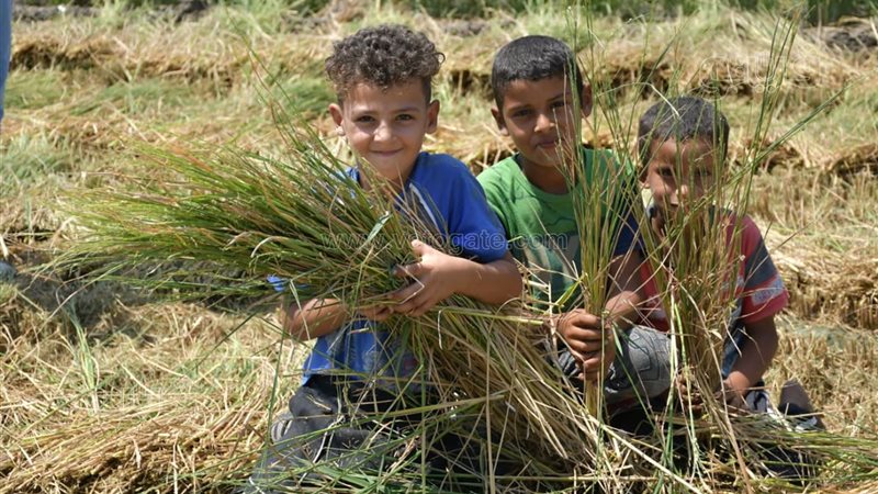 منطقة جنوب بورسعيد