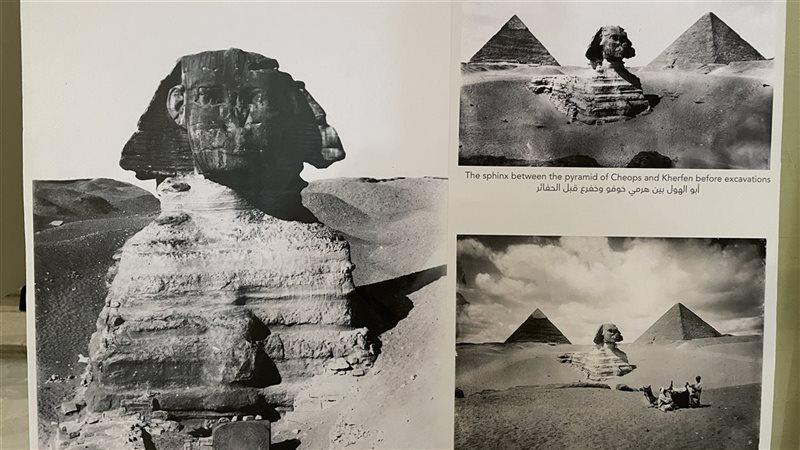 صورة أبو الهول تصوير