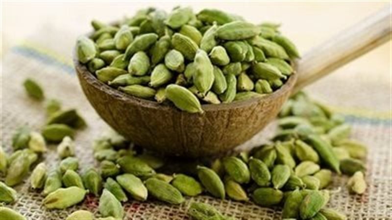 الحبهان، فيتو