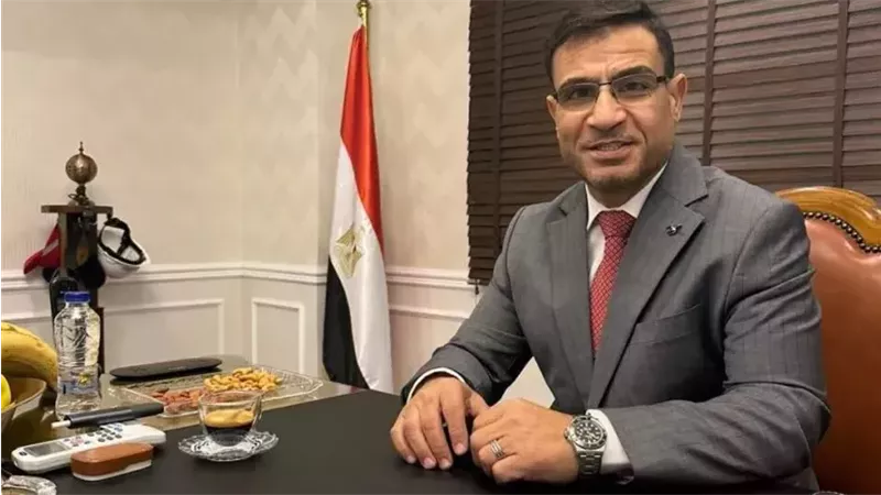 طارق الجيوشي، عضو