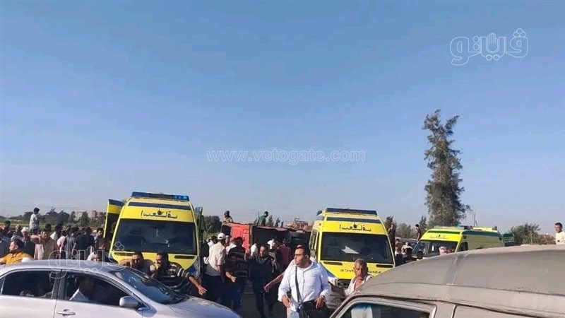 حوادث الطرق،فيتو