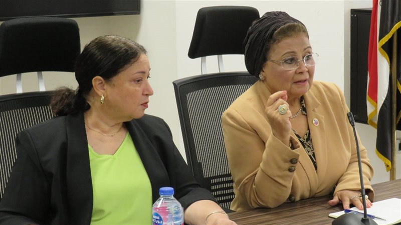 د.عبلة الألفي، فيتو