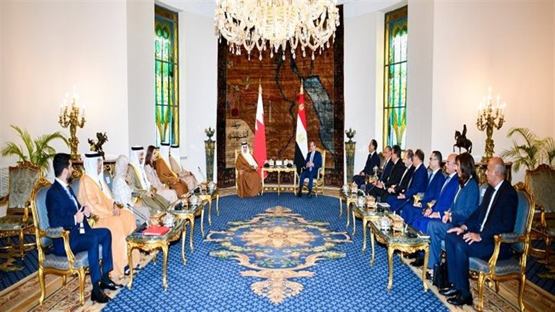 لقاء الرئيس عبدالفتاح