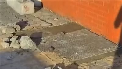 بعد تداول فيديو للواقعة، محافظ الإسكندرية يوجه بمعالجة هبوط كوبري استانلي
