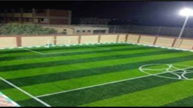   محافظ الشرقية:
