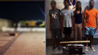 بينهم 3 أجانب، الداخلية تضبط طرفي مشاجرة الرشق بالحجارة بالإسكندرية (فيديو)