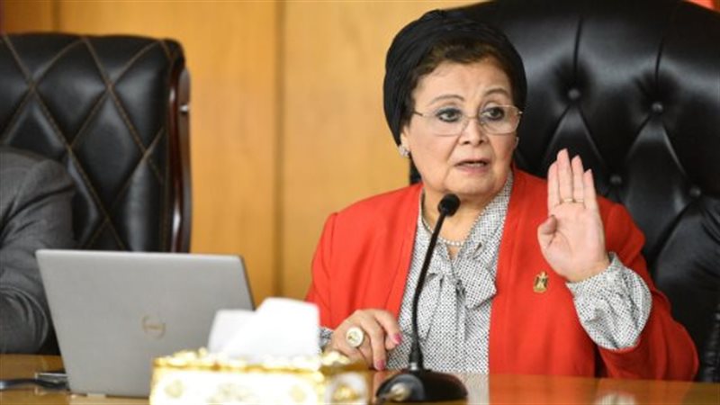 عبلة الألفي، نائب