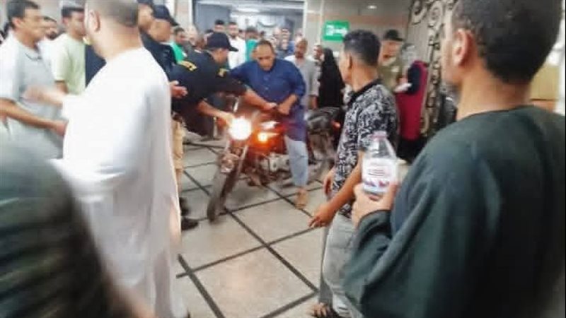 بنها الجامعي، فيتو