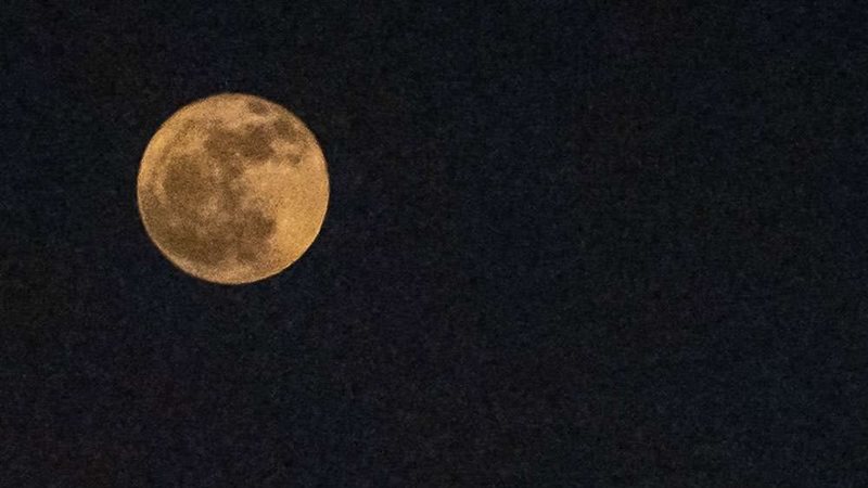 قمر الذرة، فيتو