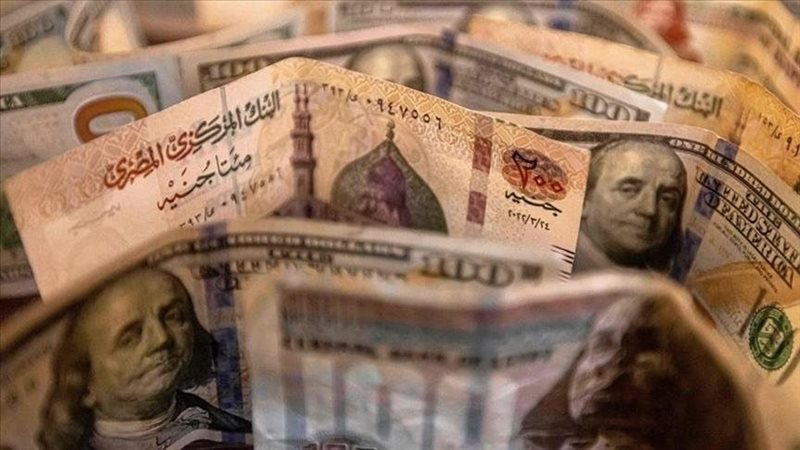 الدولار 