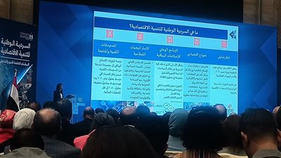 المشاط: الحكومة تعمل على عدة استراتيجيات لامتصاص الصدمات الخارجية