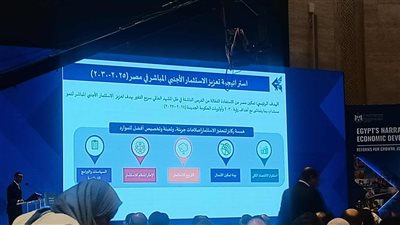 الخطيب: استراتيجية تعزيز الاستثمار الأجنبي المباشر تهدف للاستفادة من الفرص الناشئة
