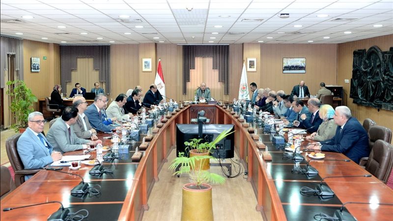 مجلس جامعة المنصورة،