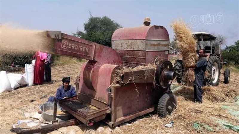 صورة أرشيفية، فيتو