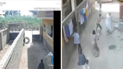 الداخلية تكشف ملابسات فيديو مشاجرة بسبب الميراث في الغربية