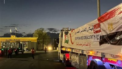 الهلال الأحمر يدفع أكثر من 2800 طن مساعدات إلى غزة عبر قافلة زاد العزة الـ 33 