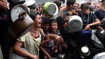 ضياء رشوان: القضية الفلسطينية معقدة ولا حل لها 