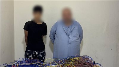 كشف ملابسات مقطع فيديو لسرقة أسلاك كهربائية وضبط مرتكب الواقعة بالشرقية