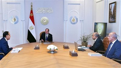 لتحسين الخدمة، تكليفات قوية من السيسي لـ وزير الكهرباء بحضور مدبولي