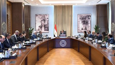 الحكومة توافق على مد فترة تقنين أوضاع الأجانب بنظام المستضيف لعام إضافي