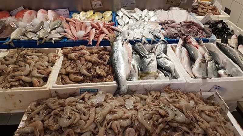 سعر السمك اليوم،فيتو