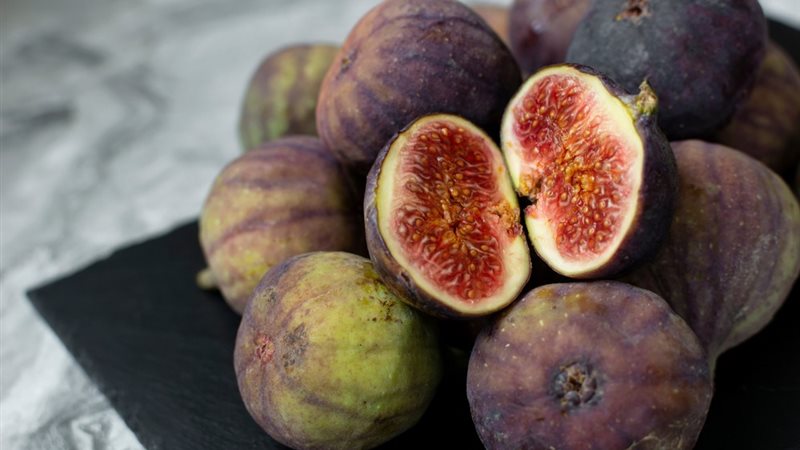 تفسير رؤية أكل التين