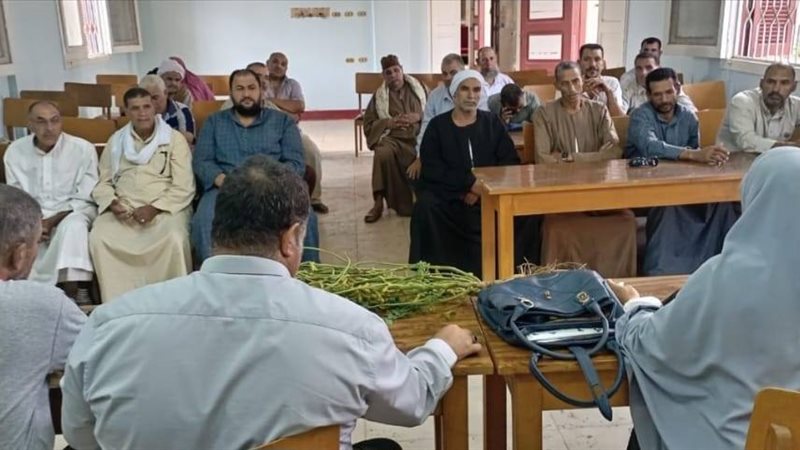 زراعة الشرقية التعاقب