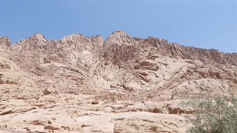 موسى يدعو ربه بهذا