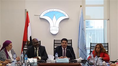 القومي لحقوق الإنسان والشبكة الأفريقية يعقدان لقاء تشاوريا لتعزيز التعاون 