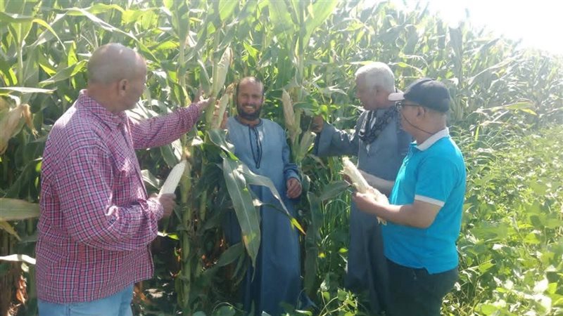 جولات مديرية الزراعة