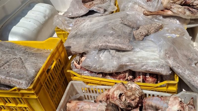 مضبوطات، فيتو