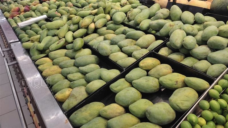 سعر المانجو اليوم