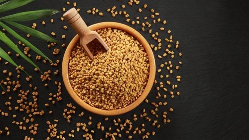 الحلبة وفوائدها،