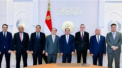 السيسي: ضرورة تعظيم فرص التعاون مع شركة سكاتك ومجموعة صنجرو وتذليل أي عقبات
