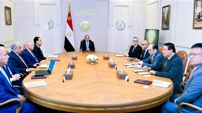  أبرزها الهيدروجين الأخضر، تعرف على مشروعات التعاون بين مصر و