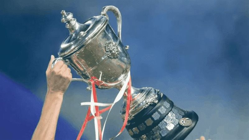 كأس مصر 