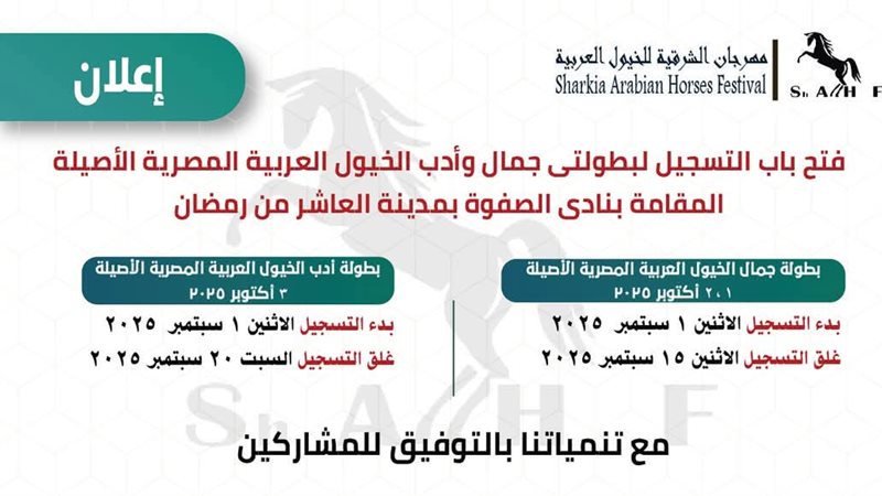 بطولة الخيل العربية