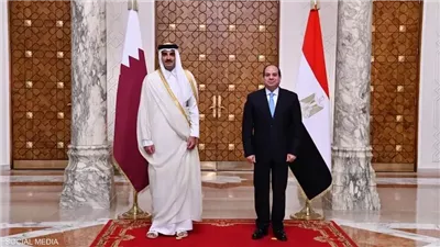 مصر وقطر تشددان على أهمية تشكيل جبهة موحدة لحماية الأمن القومي العربي 