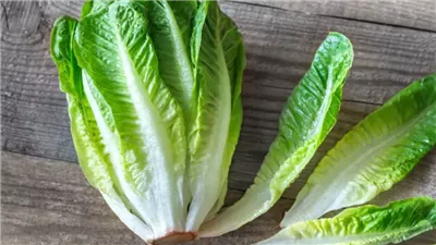 تفسير حلم أكل الخس في المنام وعلاقته بالخير والسعادة وأخبار مفرحة قريبا 