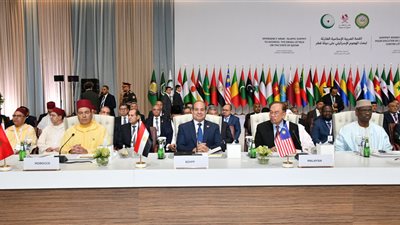 الرئاسة في أسبوع.. السيسي يشارك في القمة العربية الإسلامية بالدوحة.. يبحث تطورات حرب غزة والاعتداءات الإسرائيلية مع قادة قطر وتركيا وإيران وباكستان.. ويستقبل ملك إسبانيا بالقاهرة 