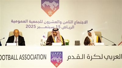أبو ريدة نائبا، التشكيل الكامل لمجلس الاتحاد العربي لكرة القدم 